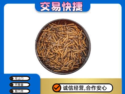 北海市海城礼品回收虫草.jpg