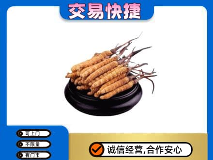 北海市海城礼品回收散虫草.jpg